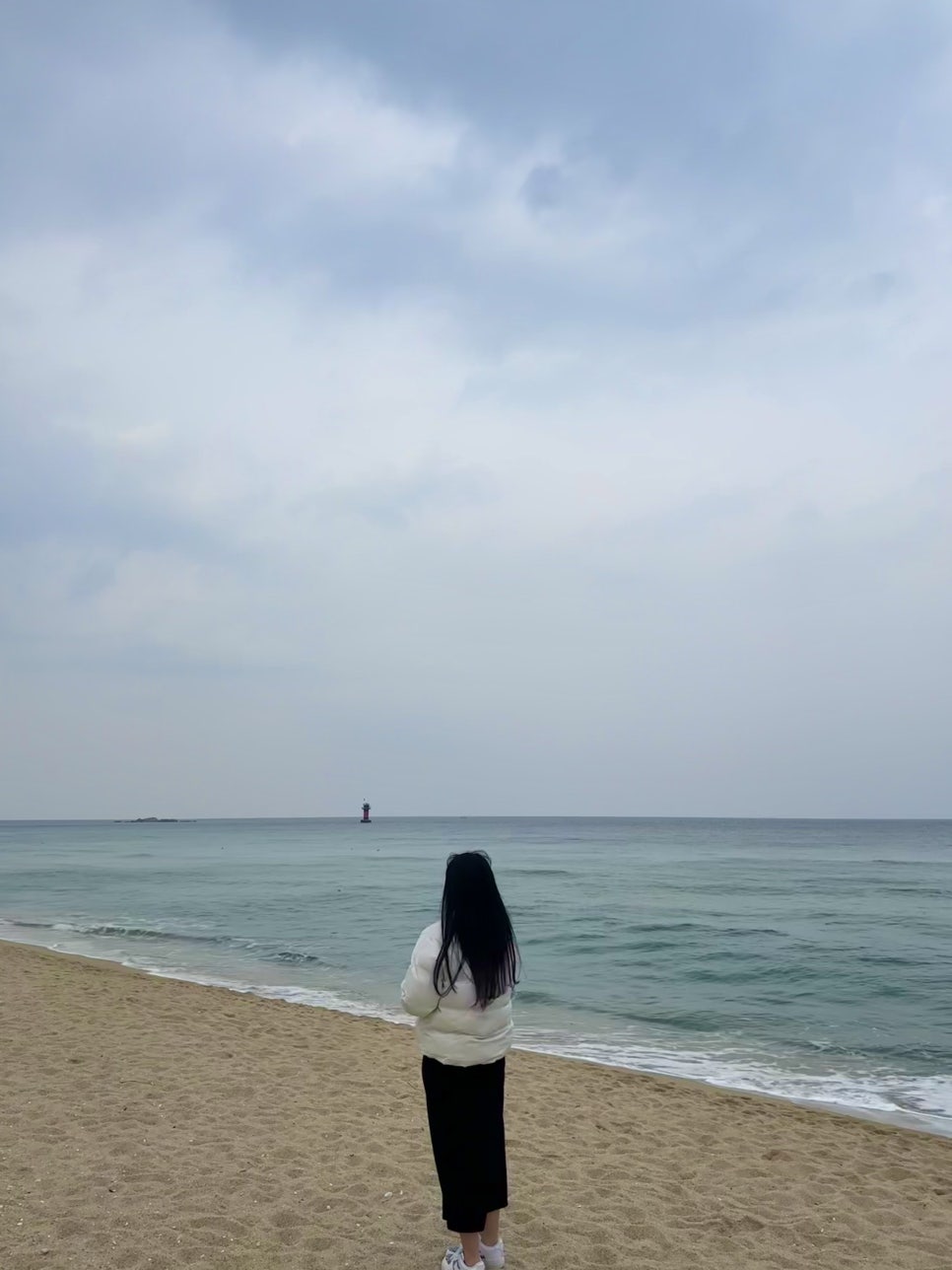 강릉커피콩빵강릉당초당점 이미지