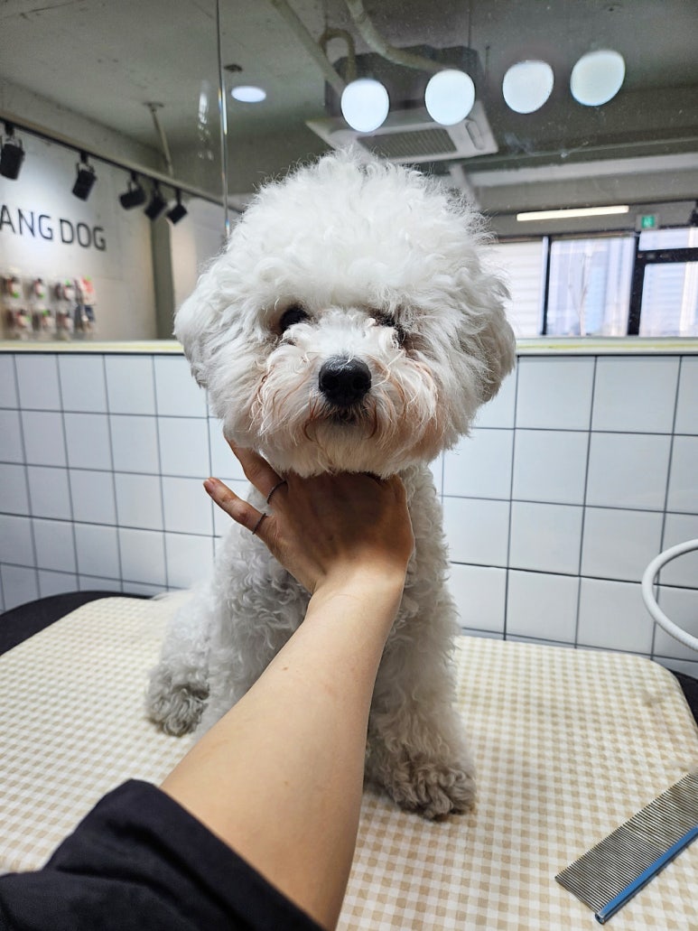 대교미용실 이미지