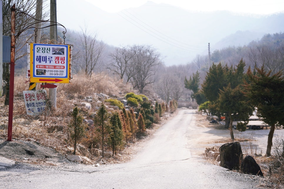 운장산해마루캠핑 이미지