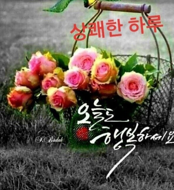 (주)미락 이미지