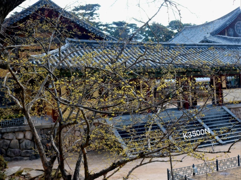 정광인쇄 이미지