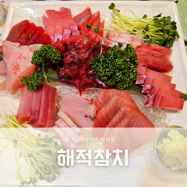 해적참치 이미지