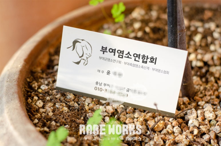 레어웍스 이미지