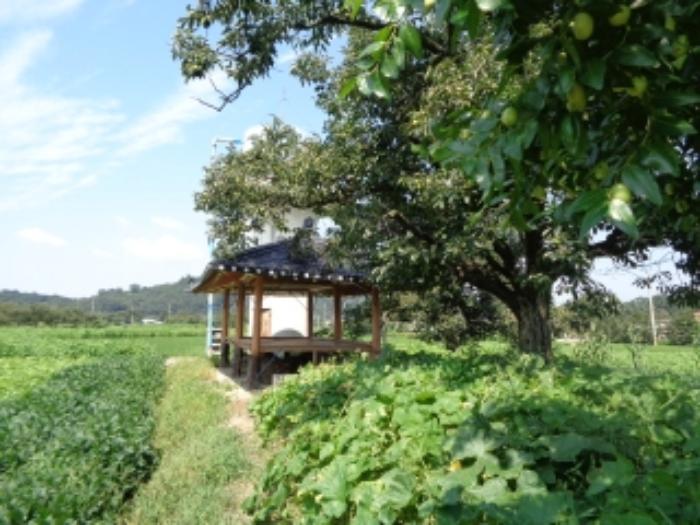 고산면 전경 이미지