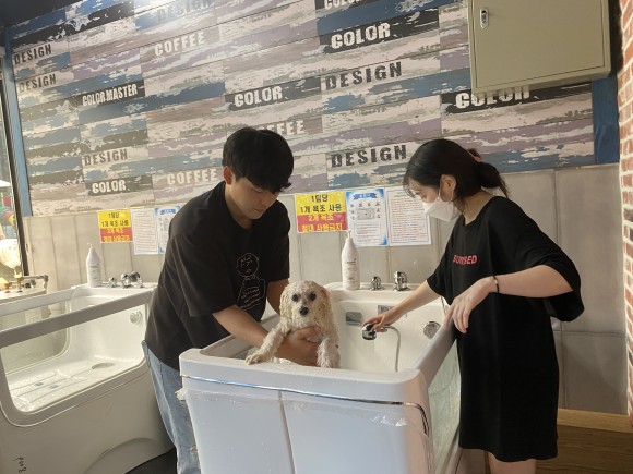 강아지풀애견펜션 이미지