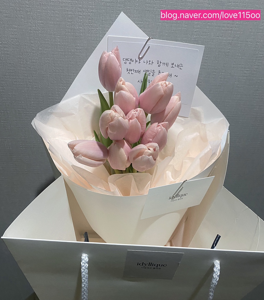 이딜리크 이미지
