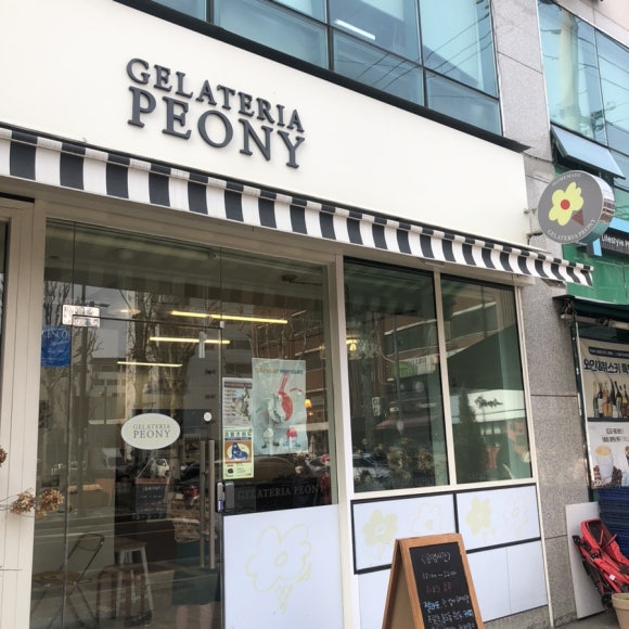 젤라떼리아피오니 이미지