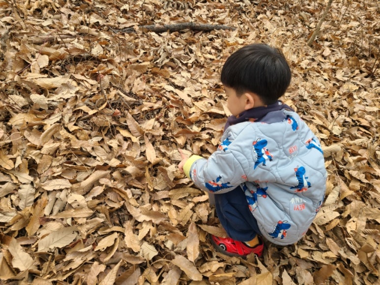 앞산마을학교 이미지