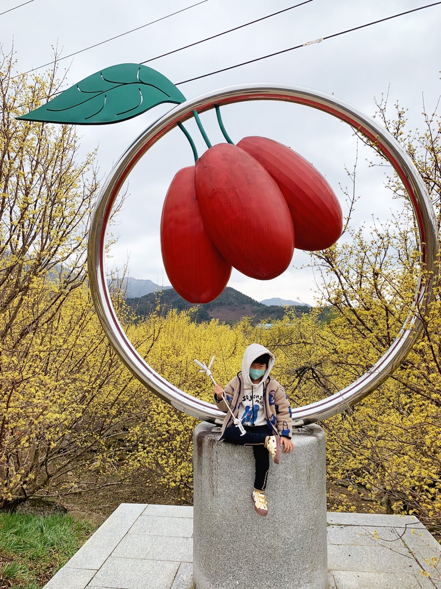 정다믄된장 이미지