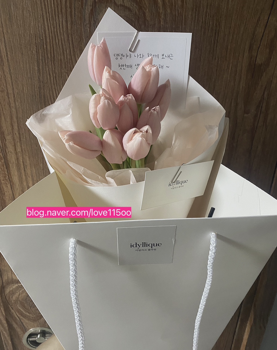 이딜리크 이미지