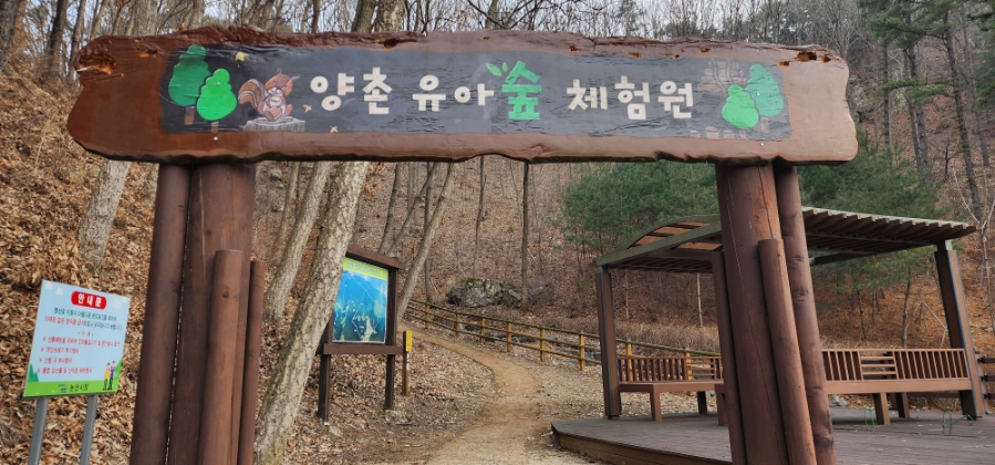 양촌 유아숲체험원 이미지