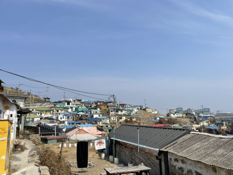 핑시화 이미지