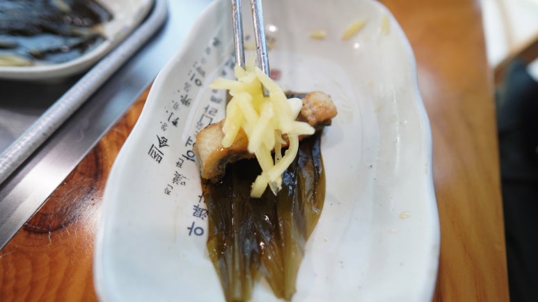 서파장어랜드 이미지