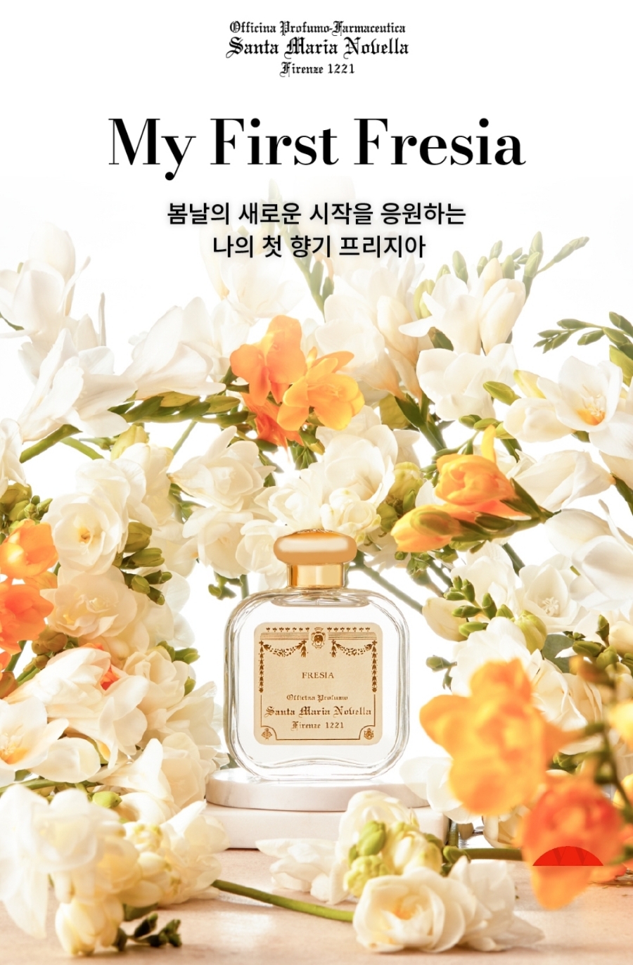 산타마리아노벨라 이미지