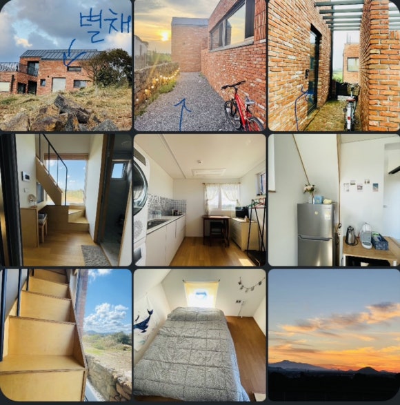 하도리님과함께 이미지