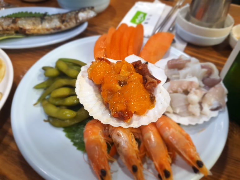 물바우 이미지