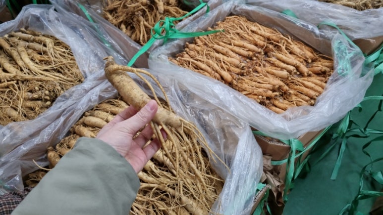 금산수삼시장(주) 이미지