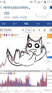 바운스라이브 이미지