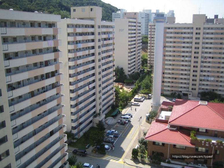 교촌치킨금곡점 이미지