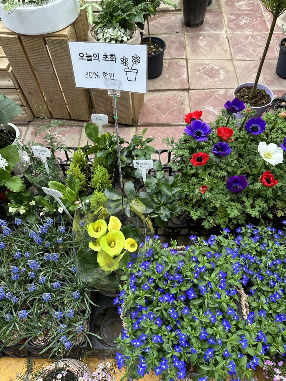 학코너 이미지