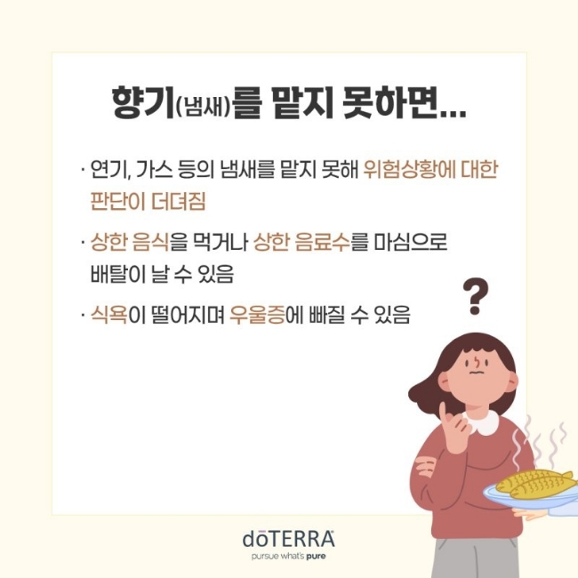 브레인케어 이미지