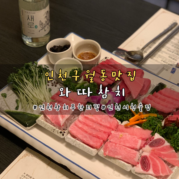 와따참치 이미지