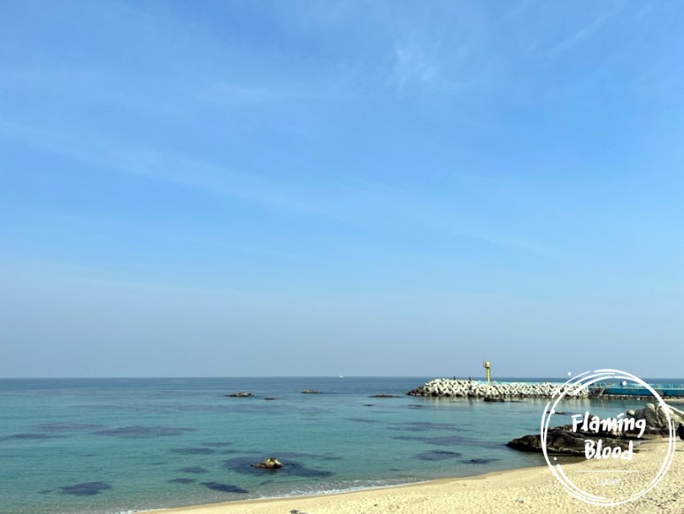 메밀골막국수 이미지
