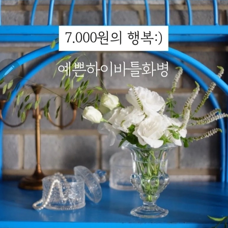 하이바틀 이미지