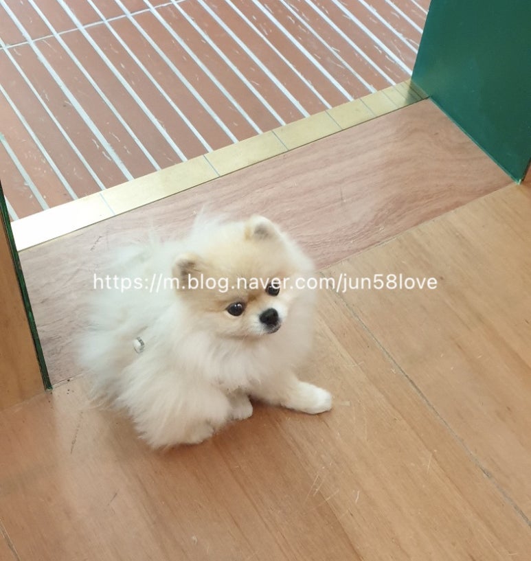 카페시에테 이미지