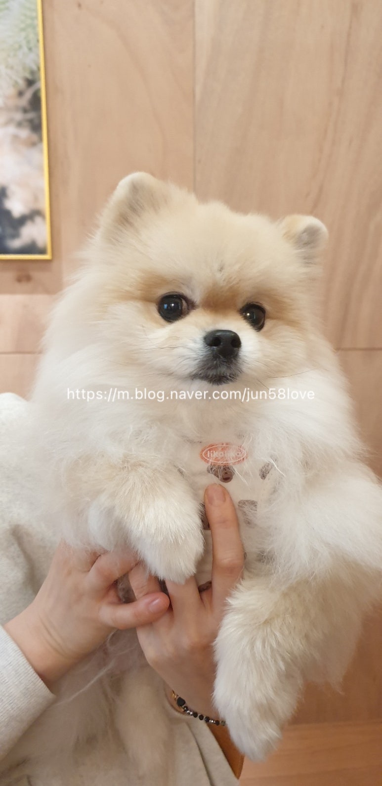 카페시에테 이미지