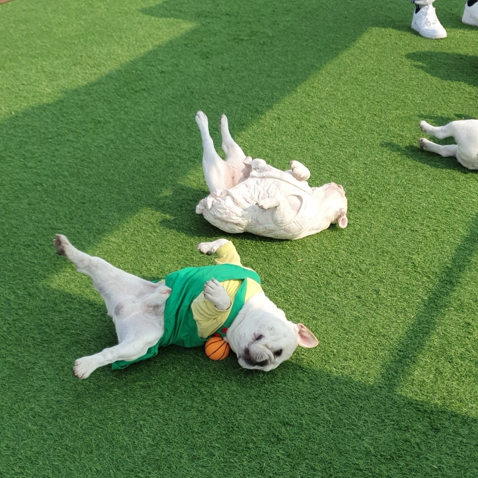 카페흐노니 이미지