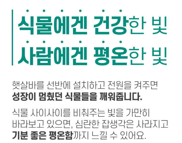 태양전파사 이미지