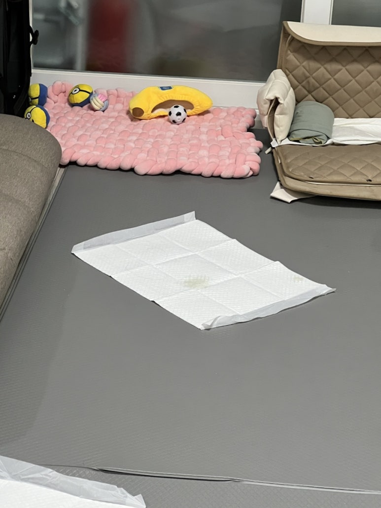 아르르(Arr) 이미지