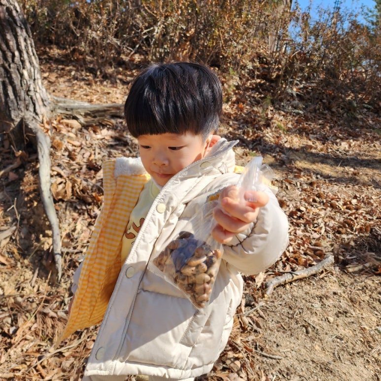 남산 유아숲체험원 이미지