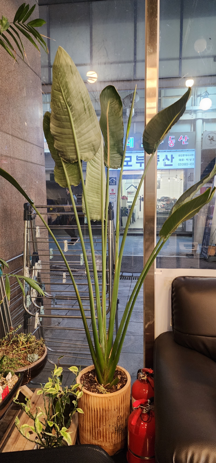 새순미용실 이미지
