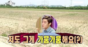 메종로즈 이미지