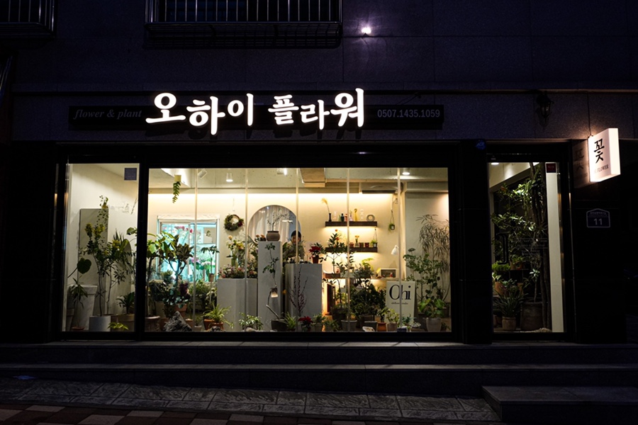 오하이플라워 이미지