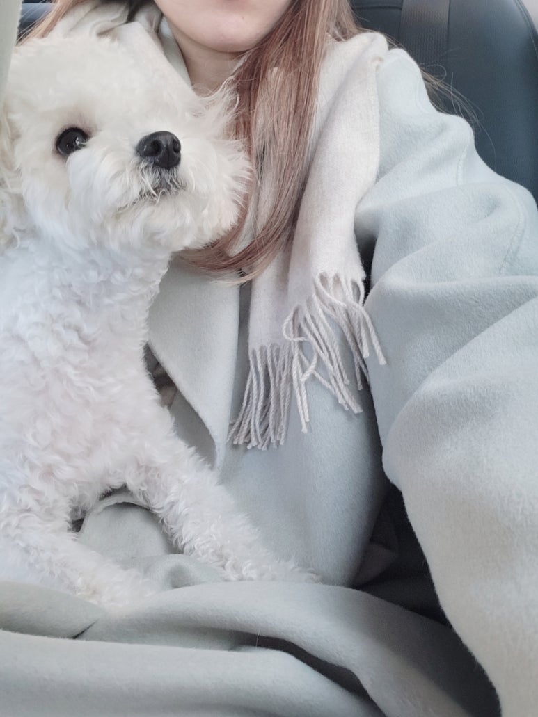 데일리 멍키친 이미지