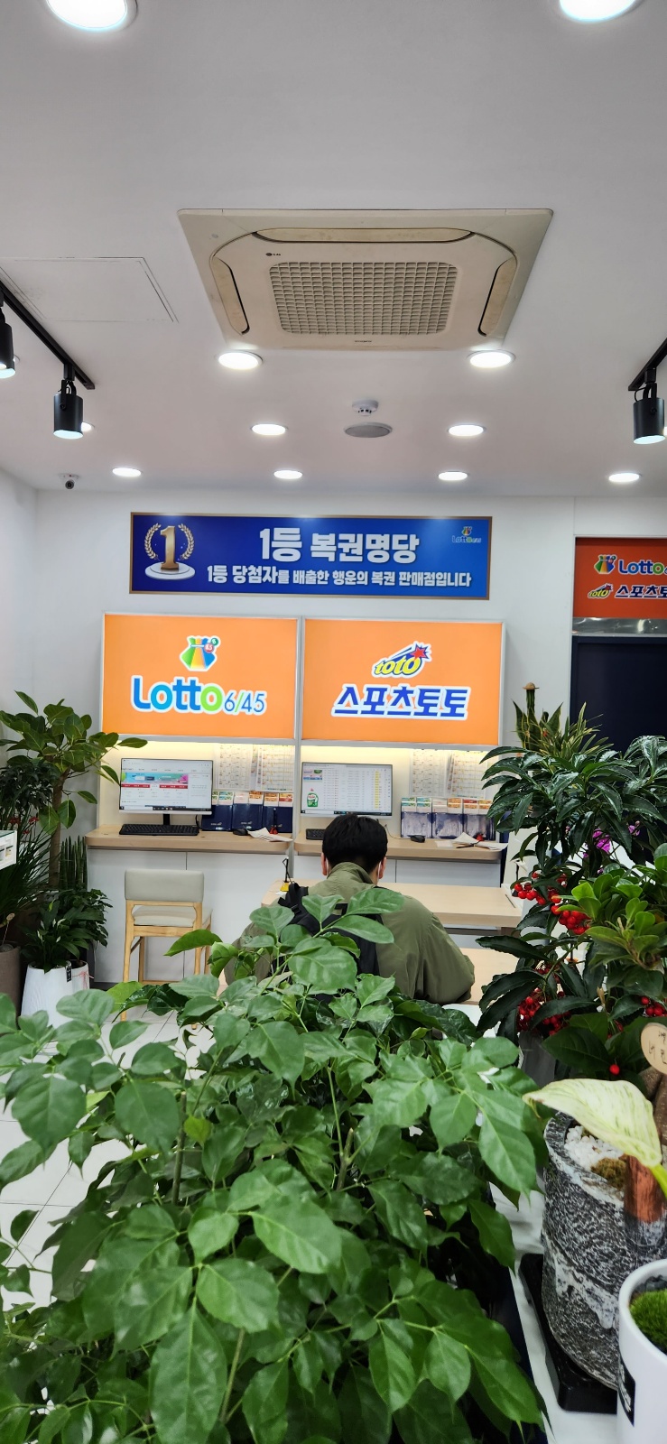 돼지복권방 이미지