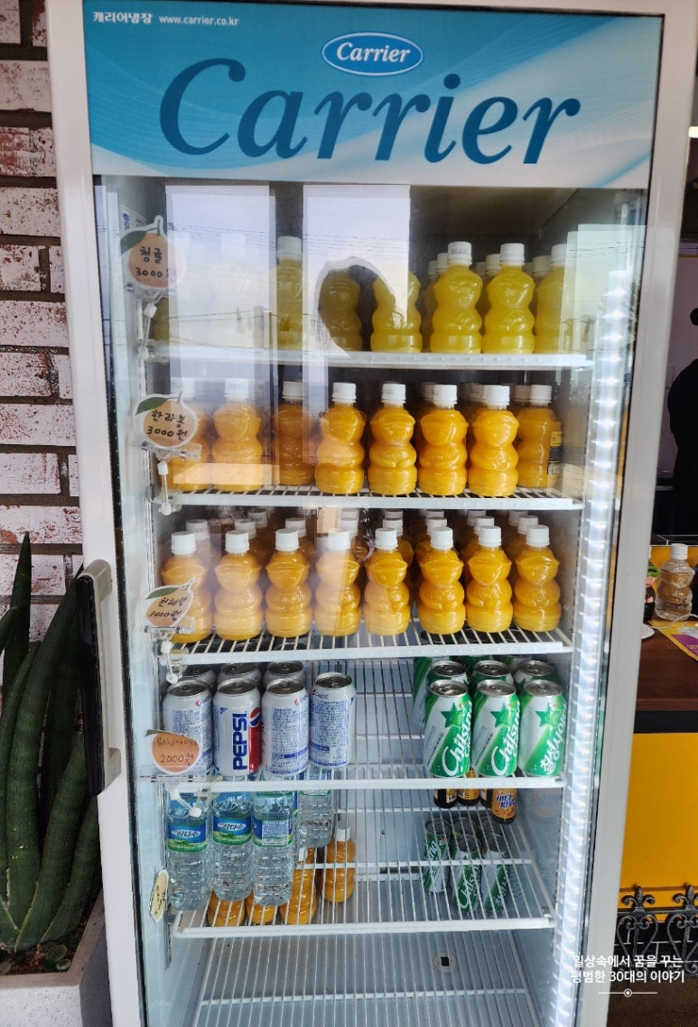 제주머슴네 이미지