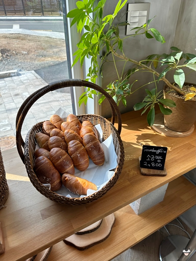 도우도우 이미지