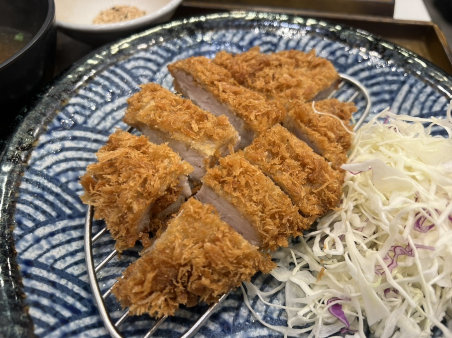 꼬숑 이미지