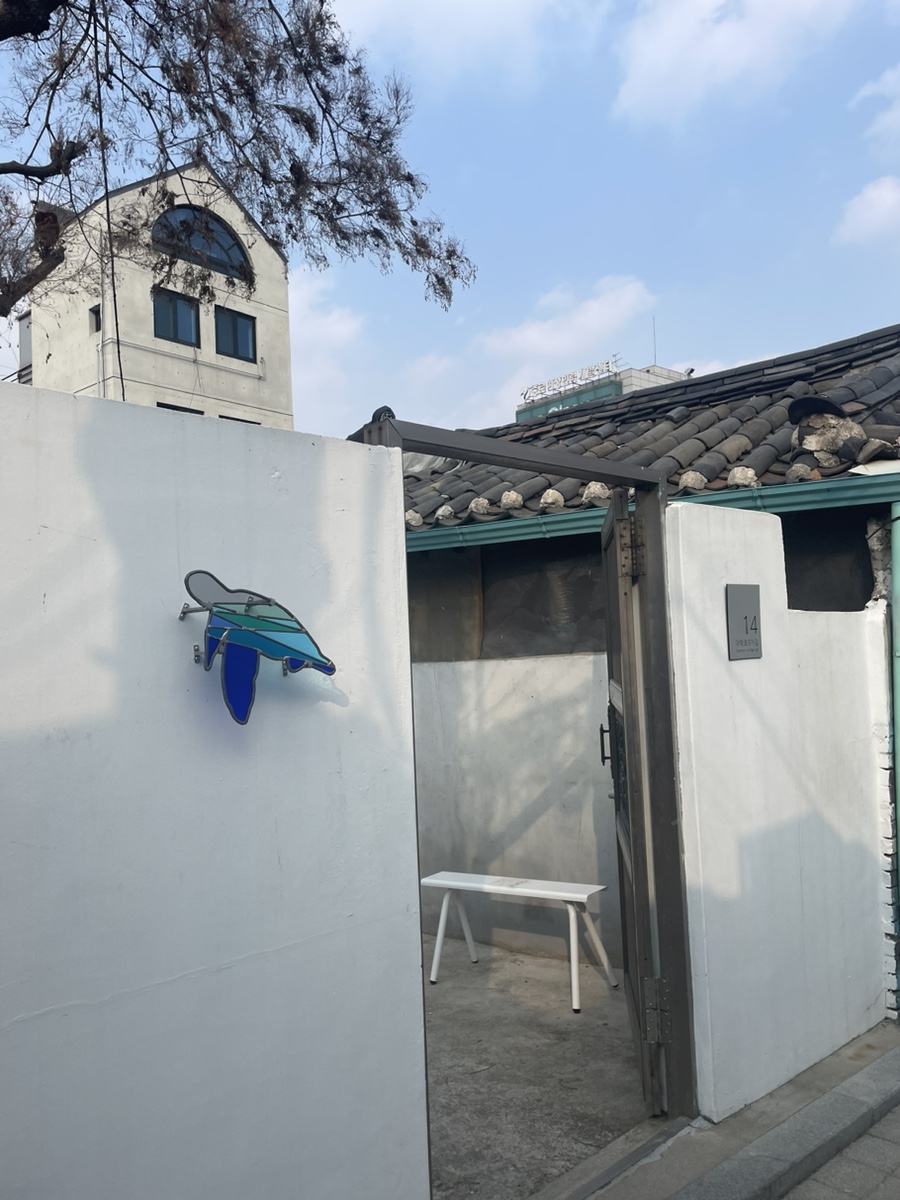 디터틀 이미지