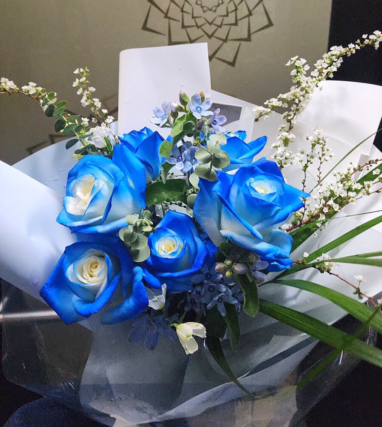 로즈포엠 이미지