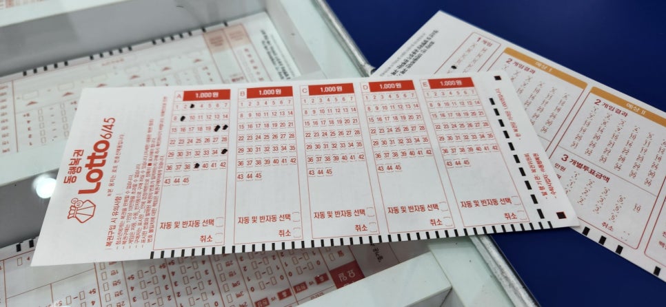 돼지복권방 이미지