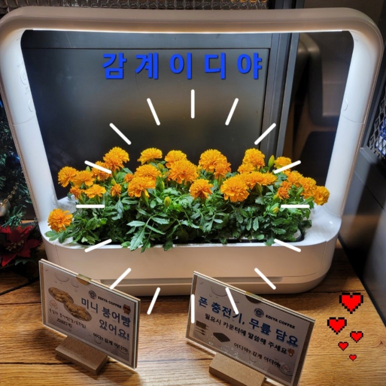 이디아커피숍창원 이미지