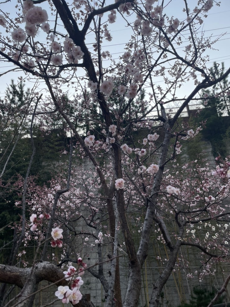 라라라이팅 이미지