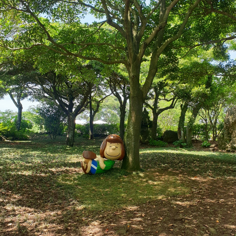 대동카서비스 이미지