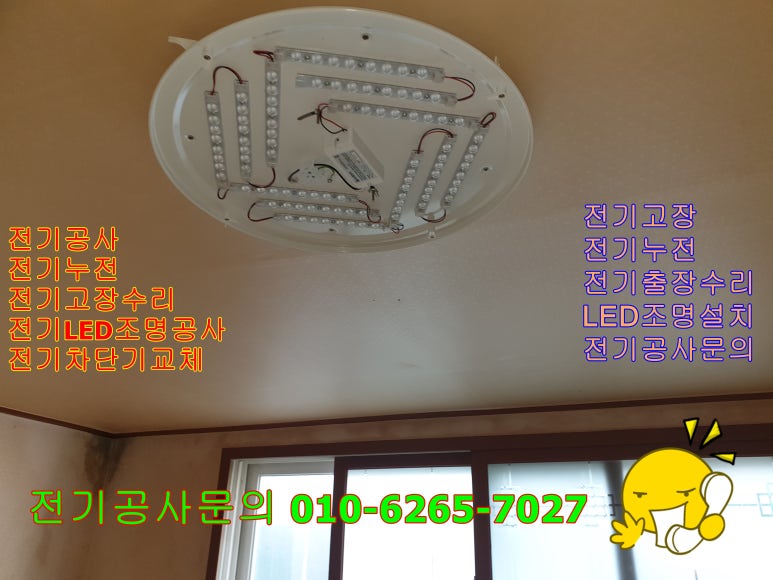대한전기조명 이미지