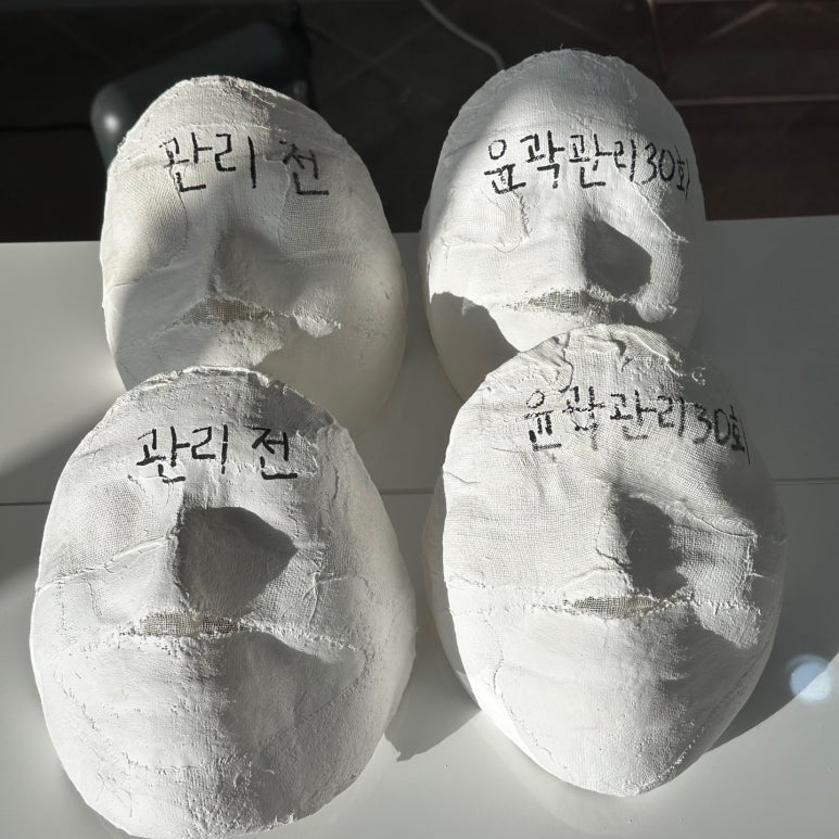 워니비 이미지